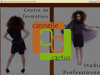 studiocannellecactus.com website preview