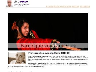 davidindigo.com website preview