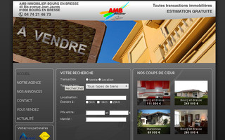 amb-immobilier.fr website preview