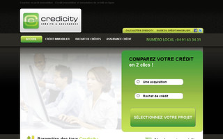 credicity.com website preview