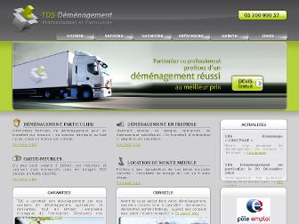 tds-demenagement.com website preview