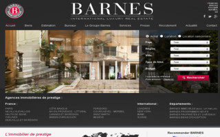 barnes-international.com website preview