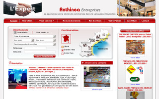 anthinea-entreprises.com website preview
