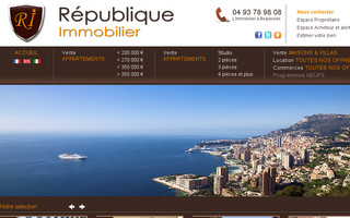 repimmobilier.com website preview