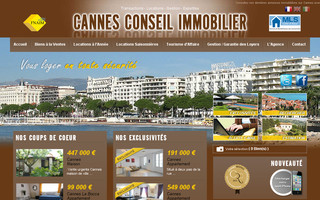 cannesconseilimmo.fr website preview