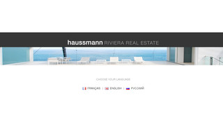 haussmannrealestate.net website preview