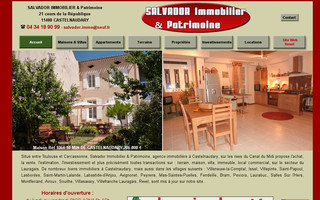 castelnaudary-immobilier.com website preview
