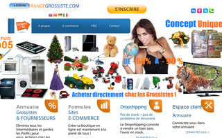 francegrossiste.com website preview