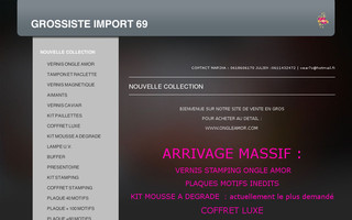 grossiste-import69.com website preview