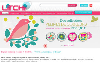 litchi.fr website preview