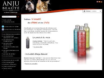 anju-beaute.com website preview