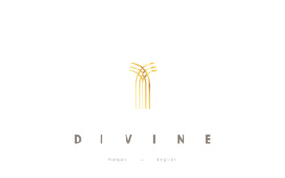 divine.fr website preview