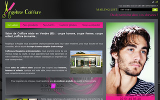 angelisse-coiffure.com website preview