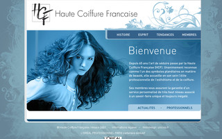 haute-coiffure-alsace.fr website preview