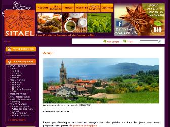 sitael.fr website preview