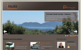 insula-immobilier.com website preview