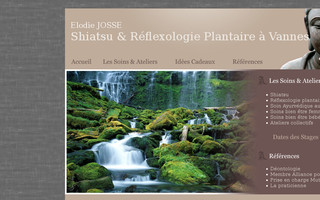 shiatsu-reflexologie-vannes.com website preview