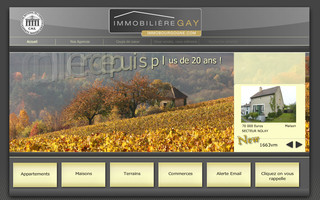 immobourgogne.fr website preview