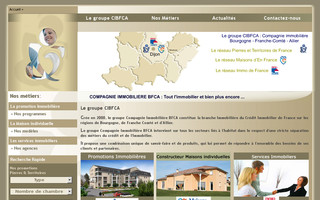 cibfca.fr website preview