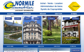 normile.fr website preview