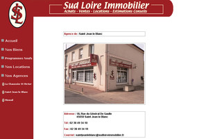 sudloireimmobilier.fr website preview