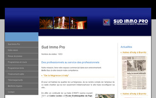 sud-immo-pro.com website preview