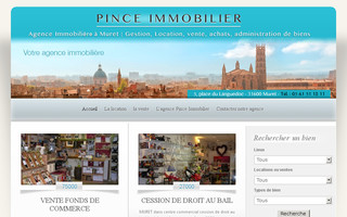 pince-immobilier-muret.fr website preview