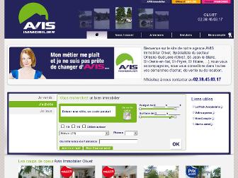 avis-immobilier-olivet.com website preview