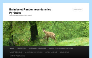 randocarline.fr website preview