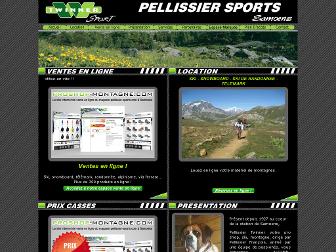 pellissier-sports.com website preview