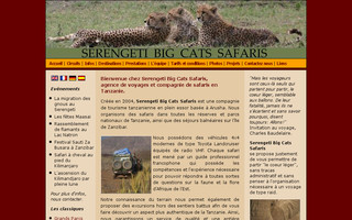 serengeti-big-cats-safaris.com website preview