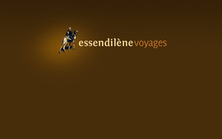 essendilene-voyages.com website preview