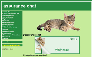 assurance-chat.com website preview