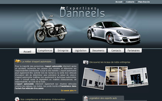expertises-danneels.com website preview