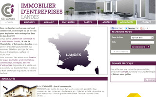 landes-immo-entreprises.fr website preview