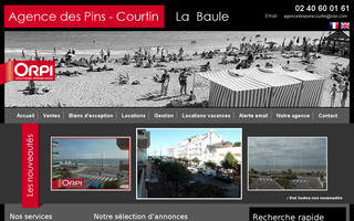 agencedespins.fr website preview