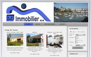 m-immobilier-44.com website preview