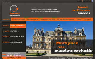 dynatel.fr website preview