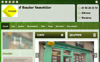beucher-immobilier.com website preview