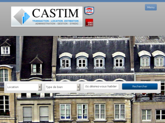 castim.com website preview