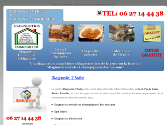 diagnostic-merules.fr website preview