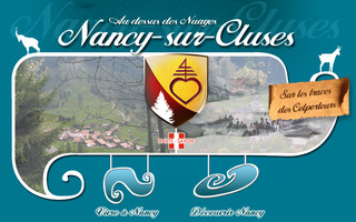 nancysurcluses.fr website preview
