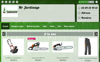 mr-jardinage-90.fr website preview