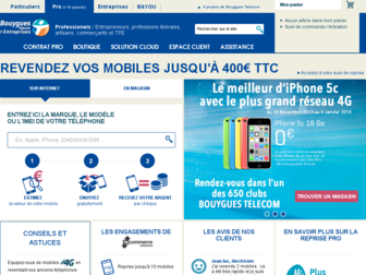 reprise-mobile.pro.bouyguestelecom.fr website preview