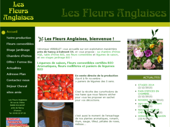 lesfleursanglaises.fr website preview