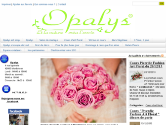opalys-fleurs.fr website preview