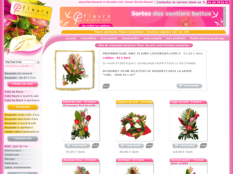 fleurslointaines.com website preview