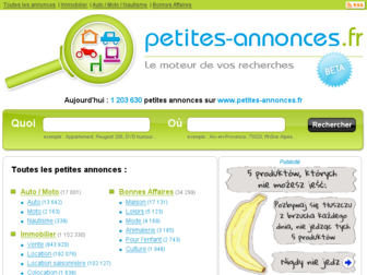 petites-annonces.fr website preview