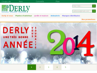 derly.fr website preview