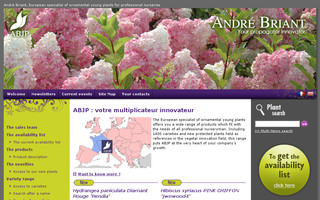 andre-briant.fr website preview